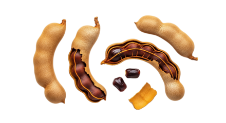 Tamarind fruit with seeds isolated on transparent background, a popular ingredient in asian cuisine