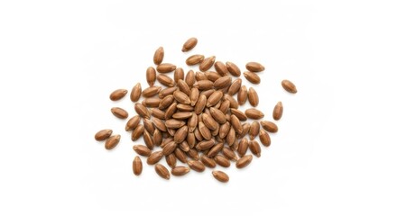 Pile of small, shiny, brown flaxseeds on a stark white surface, well-lit