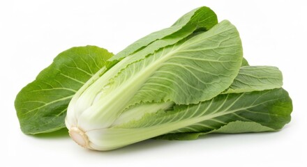 Small bok choy head and loose leaves against white background in horizontal close-up