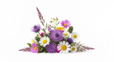 Wildflower bouquet; purple thistle, white daisies, and pink blooms on white