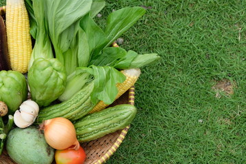 fresh vegetables in a basket