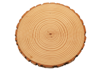 Isolated cross section of a tree trunk reveals growth rings and natural wood grain texture