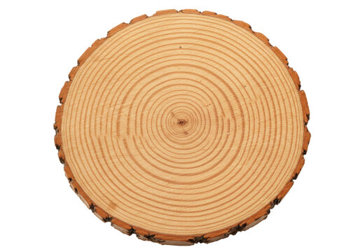 Isolated cross section of a tree trunk reveals growth rings and natural wood grain texture