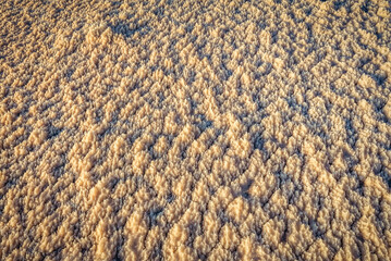 Rock salt on a shore of Dead Sea in Jordan