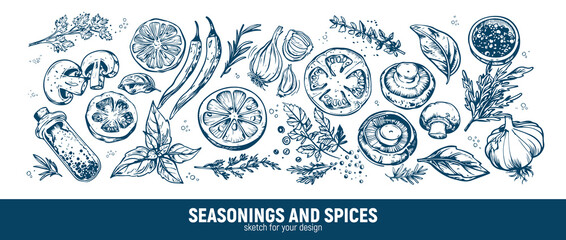 Big set for the menu. Spices and vegetables. Hand drawing sketches © Nadin_Koryukova