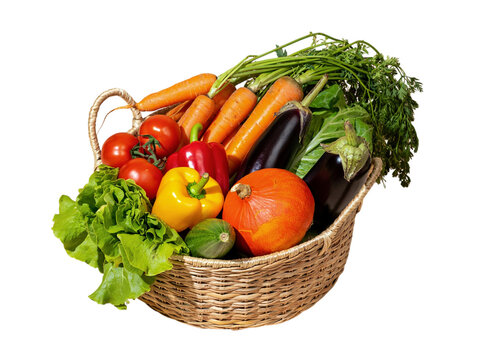 Freshly picked assorted vibrant vegetables in a wicker basket healthy harvest png