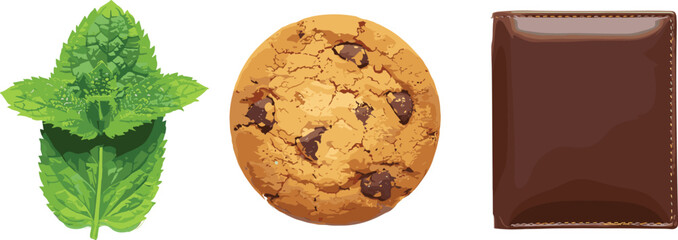 Mint leaves, chocolate cookie, leather wallet, contrast of objects, food and accessory, texture detail, white background, isolated