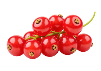 Isolated bunch of vibrant red currant berries, fresh organic fruit, summer harvest food