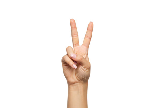 Isolated human hand showing peace gesture or the number two, fingers pointing upwards - Powered by Adobe
