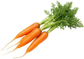 Isolated Carrots with Green Tops, Fresh Raw Vegetables, Healthy Vegetarian Food Ingredient