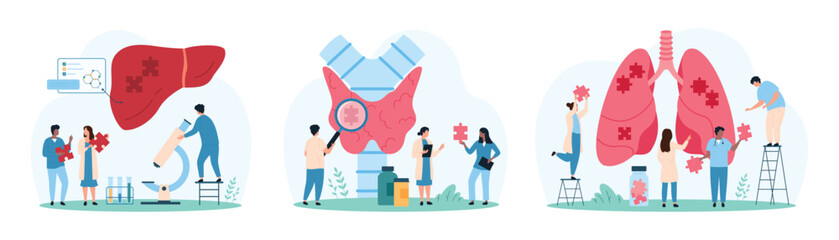 Internal organs health care, awareness and protection set. Tiny people holding puzzle piece to connect into healthy human lungs and liver and protect, examine thyroid gland cartoon vector illustration