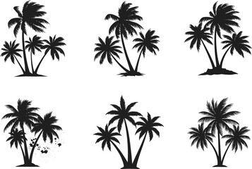 Palm tree silhouette vector set, tropical beach icon collection, black isolated summer elements, exotic nature clipart for decoration, design, logo, print