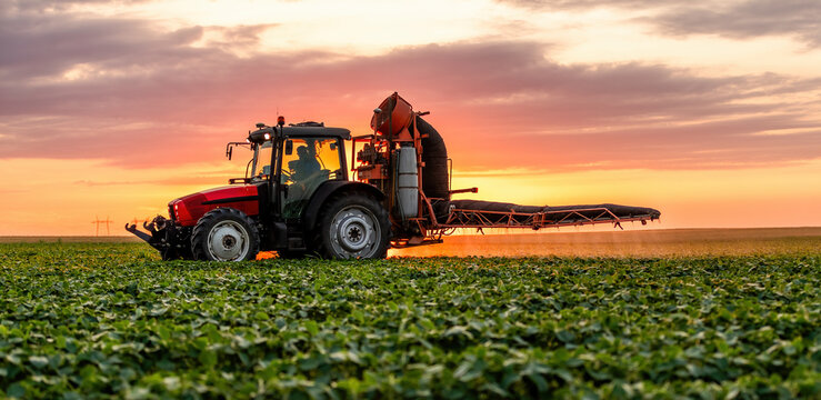 Tractor spraying crops in agricultural field at sunset