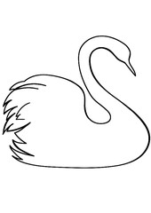 hand drawn vector illustration of a swan