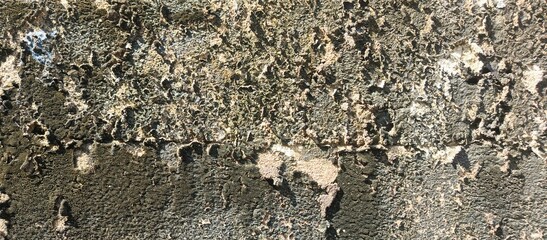 Rough cement wall texture with aged and weathered surface