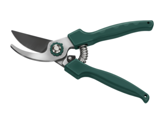 Isolated secateurs, a hand pruner for gardening with green grip and metallic blades stock photo