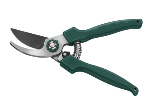 Isolated secateurs, a hand pruner for gardening with green grip and metallic blades stock photo