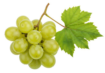Isolated bunch of ripe green grapes with a leaf close-up ready for eating, healthy diet