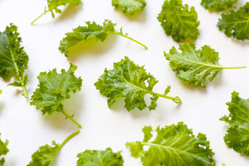Fresh curly green kale leaves on white background.