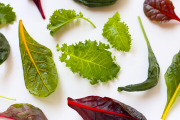 Mixed of fresh vegetable green leaves, including green kale and red-veined chard on white background.