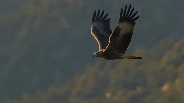 A majestic brown bird of prey with outstretched wings soars gracefully through the air above a blurred mountainous landscape.