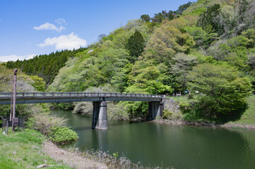 Fototapeta premium 茨城 花園川（北茨城市）