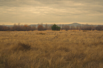 Wintery landscape in Castilla Spain