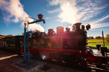 The historic "Rasender Roland" narrow-gauge steam locomotive stands at a rural station on the island of R&uuml;gen, Germany. Steam billows against a clear blue sky, framed by vibrant autumn foliage.