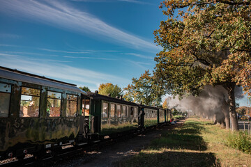 The historic "Rasender Roland" narrow-gauge steam locomotive stands at a rural station on the island of R&uuml;gen, Germany. Steam billows against a clear blue sky, framed by vibrant autumn foliage.