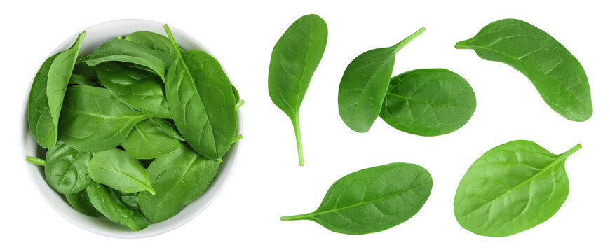 Baby spinach leaves in ceramic bowl isolated on white background. Top view. Flat lay