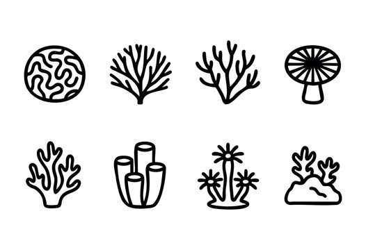 Various hand-drawn graphics showcase unique shapes of sea corals and underwater plants. Each illustration has simple lines and captures the beauty of marine life.