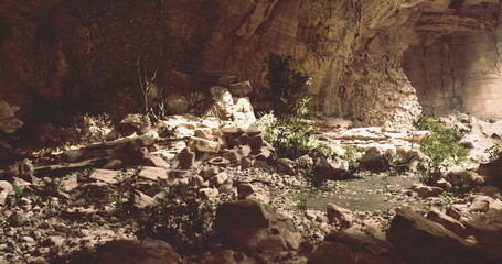 Obraz premium A serene cave interior showcases various rocks, small plants, and subtle lighting. The earthy tones and textures create a peaceful atmosphere, inviting exploration and discovery.