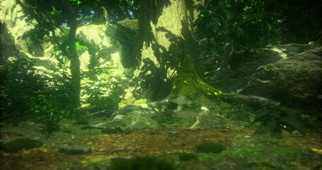 Sunlight streams through dense foliage, illuminating the vibrant green surroundings of a tranquil forest. The scene captures the beauty of nature in a peaceful setting.