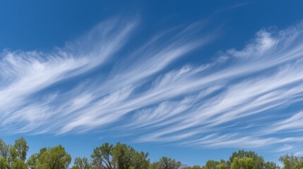 Obraz premium A stunning wide-angle perspective reveals a bright sky filled with dynamic, wispy clouds drifting overhead. The vibrant greenery below adds life to the serene scene