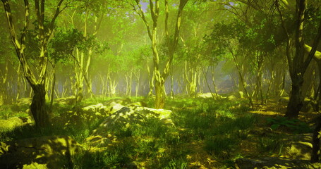Naklejka premium Sunlight shines through a dense canopy in a vibrant forest. The ground is covered with lush green grass and scattered rocks, creating a serene natural habitat filled with life.