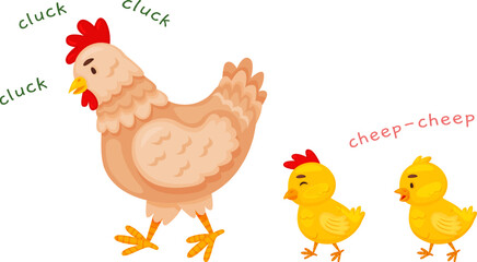 Mother hen walking with her cute baby chicks