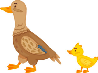 Mother duck protecting and guiding a small duckling
