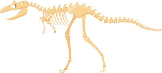 Dinosaur skeleton fossil illustration showing prehistoric animal anatomy © Frogella.stock
