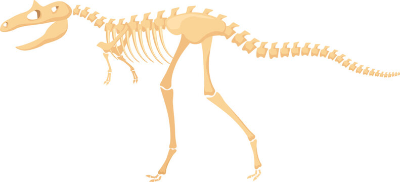 Dinosaur skeleton fossil illustration showing prehistoric animal anatomy