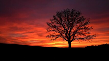 Silhouette of a bare tree against a vibrant orange and red sunset sky with dark clouds and a hill in the background. - Powered by Adobe