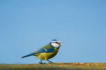 Digital illustration of an Eurasian Blue Tit standing on a wall feeding on seed.