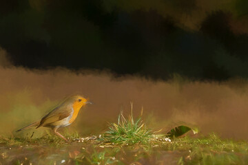 Digital illustration portrait of a European Robin, Erithacus rubecula in a natural woodland habitat.