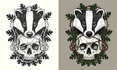 Vintage Engraving Badger and Skull with Oak Leaves Graphic