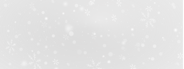 Holiday snow PNG. Star-shaped ice ornament for festive season design PNG.