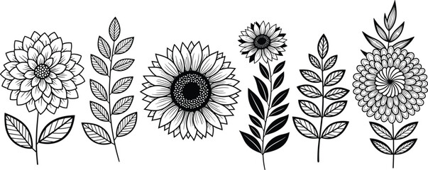 Hand drawn floral set, black and white flowers, doodle leaves, botanical illustration for coloring book, decorative art, tattoo design element.