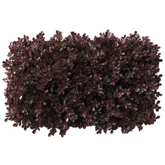 Crimson Shrub: A vibrant crimson shrub thrives, its lush, textured foliage creating a captivating visual display.