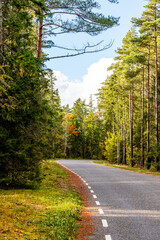 Forest road inviting adventure in early autumn. Vertical photo of curving road surrounded by vibrant forest colors, perfect for themes of travel, exploration, and nature journeys.
