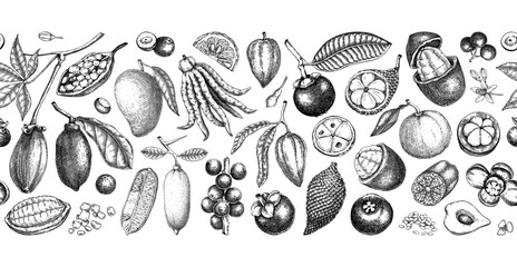 Exotic fruit border design. Tropical plants hand drawn vector illustration. Healthy food background. NOT AI generated