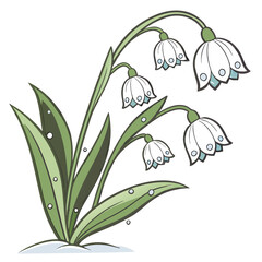 Delicate snowdrop flowers gracefully droop, their white petals adorned with charming water droplets, creating a serene and enchanting scene, isolated on