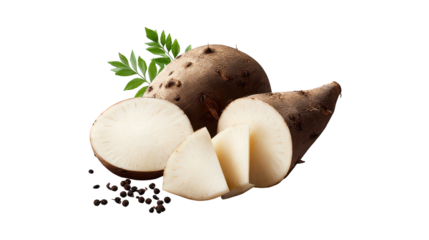 Mushrooms and pieces are observed several mushrooms with various fragments are shown